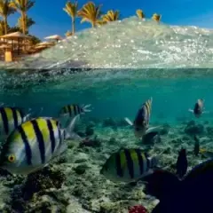Czy Marsa Alam w Egipcie jest bezpieczna? Oto, co musisz wiedzieć